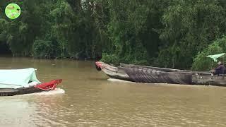 Quê hương vĩnh long ngày nay - Phường 2 đổi mới - Miền Tây Đổi Mới - Vĩnh Long Đổi Mới