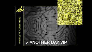 Hystatus ft. Flower Rising - Another Day VIP