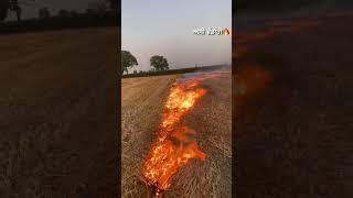 #farmer #punjabi #nofarmernofood #farmer #protests  #onlyfarmers #jindabad  #youtube #views #viral