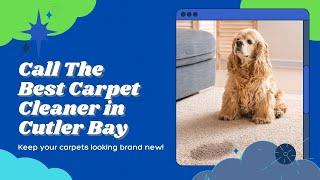 Carpet Cleaner in Cutler Bay by Keep It Clean Carpets and Tile