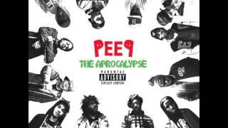 Pro Era - Vinyls