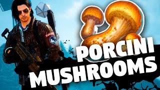 Porcini Mushrooms - Spawn Point Map, Gathering Route, Recipes | UNDAWN