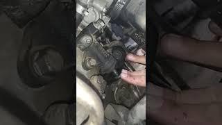 Chirping noise on Subaru Forester, quiets when pressing clutch pedal or fork [help]