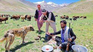 Afghan Shepherd's Life : Insights into Rural Afghanistan | Village life in Afghanistan | #nature