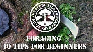 Foraging Edibles & Herbs - 10 Tips For Beginners