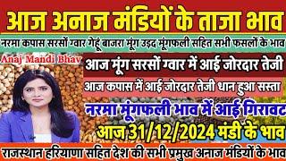 अनाज मंडी भाव, 31/12/2024 सरसों ग्वार मूंग कपास में आई जोरदार तेजी, नरमा मूंगफली धान में आई गिरावट,