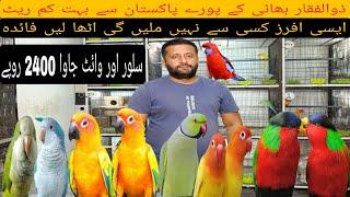 ذوالفقار بھائی کے پورے پاکستان میں سب سے کم ریٹس اٹھا لیں فائدہ @Pakistanlahorepets #birds