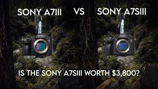 Sony A7siii Vs Sony A7iii... Is the A7siii worth $3,800