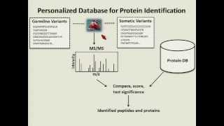 ASMS 2013: Kelly Ruggles, Deciphering Breast Cancer Proteogenomics Using Bioinformatics Methods