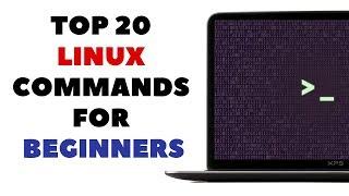 Top 20 Commands Every Linux User MUST KNOW