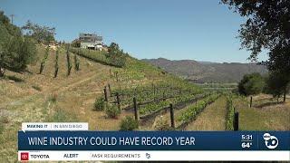 Wine industry could have record year