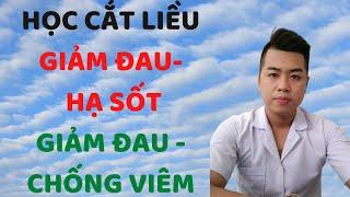 HỌC CẮT LIỀU - NHÓM GIẢM ĐAU, HẠ SỐT- GIẢM ĐAU CHỐNG VIÊM