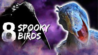 Scary, Spooky, Birds that Will Give You Chills! for Halloween