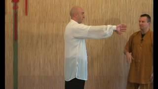 Qi Gong Yi Jin Jing (Exercices & demonstration)