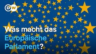 EU erklärt: Was macht das Europäische Parlament? 2/5 | DW Nachrichten