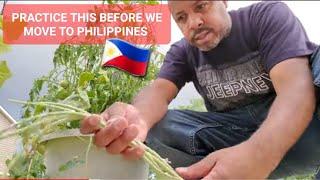 I'm practicing this before we move to PHILIPPINES  VLOG 83. #philippines #GARDENING #LIFESTYLE