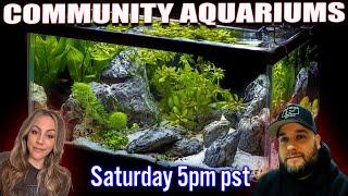 Community Aquariums Are the BEST - It's not even close!!!