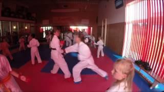 Karate Kumite Kata Summer Project 2015 Puderbach