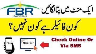 how to check filer status online | fbr filer check karne ka tarika @thetechtube