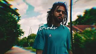 (FREE) J Cole Type Beat - Birds (Prod. e'zz)