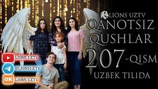 QANOTSIZ QUSHLAR 207 QISM TURK SERIALI UZBEK TILIDA | КАНОТСИЗ КУШЛАР 207 КИСМ УЗБЕК ТИЛИДА