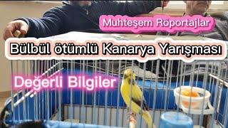 Muhteşem Röportajlar Çok değerli bilgiler... Büllüllü kanarya yarışması