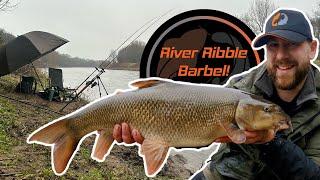 Feeder Fishing For Barbel | River Ribble