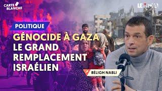 GÉNOCIDE À GAZA : LE GRAND REMPLACEMENT ISRAÉLIEN