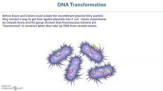 DNA Transformation - DNA Learning Center