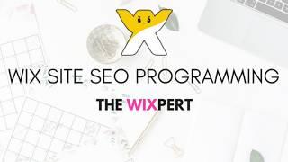 The WIXpert 'WIX SEO Programming' - What is it?