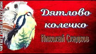 Дятлово колечко ,Николай Сладков, Рассказы о природе ,читает Павел Беседин