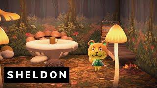 SHELDON House Tour | Animal Crossing: New Horizons