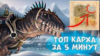 КАРХАРОДОНТОЗАВР! Как приручить БЕЗ ЛОВУШКИ ЗА 5 МИНУТ! АРК  Места спавнов.  Поиск седел и принтов.