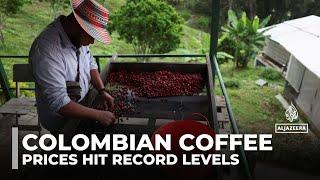 Colombian coffee farmers thrive on high prices but face volatile markets and climate uncertainty