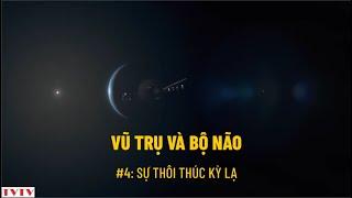 Vũ trụ và bộ não #4: Sự thôi thúc kỳ lạ | Thư Viện Thiên Văn