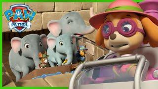 Jungle Rescue Pups save the Elephant family and more! | PAW Patrol Cartoons for Kids Comoilation
