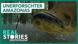 Doku: In den Tiefen des größten Regenwalds der Welt | Real Stories Deutschland