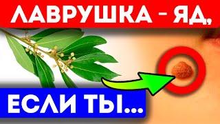 Доказано! Лавровый лист губит при этих признаках. Сила лаврового листа для женщин