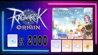 Pet Memorizing Ragnarok Origin Global | Trick on how to get 105 points and claim rewards