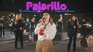 Banda Las Angelinas ft. Dayanna Garcia - Pajarillo [En Vivo 2023]