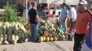 Сурхондарё Сариосиё Пайшанба Дехкон бозори нархлари. 16.07.2022й