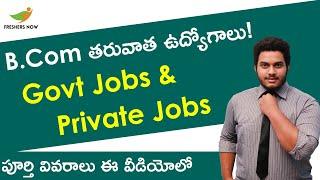 Jobs After B.Com in Telugu | Govt & Private Sector | Career After B.Com in India