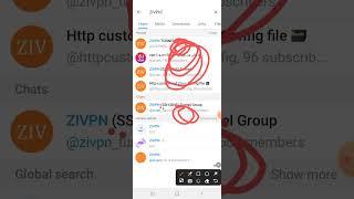 zivpn config make