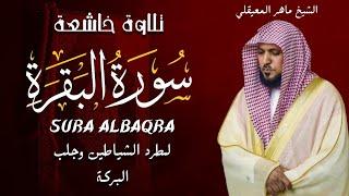 الشيخ ماهر المعيقلي  سورة البقرة  النسخة الأصلية  Surat Albaqra Official Audio