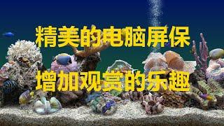 热带鱼水族箱屏保，让你的电脑屏幕变成栩栩如生的热带鱼水族箱,精美的电脑屏保，闲暇时无聊时看看增加美美的观赏乐趣。