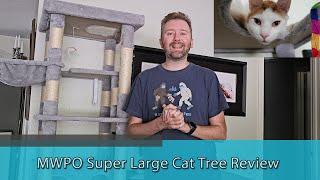 PALACE FOR YOUR CAT - MWPO Super Large Cat Tree Review