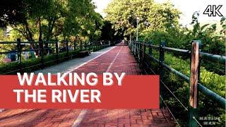 [4K] Caohu River 7 | Walking by the river Taichung Taiwan || Jalan jalan di sore hari yang indah