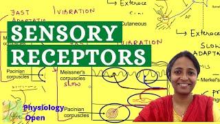 Classification of Sensory receptors | Sensory Physiology mbbs 1st year lecture | CNS physiology