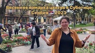 Жизнь в Суботице | Сербия | Жизнь в Сербии | Суботица | Суботица Лайф | города Сербии | Сербия 2024