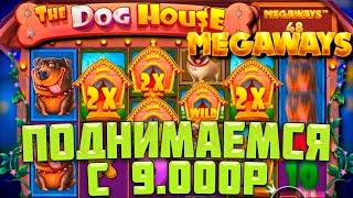 ПРОБУЕМ ПОДНЯТЬСЯ В РАЗНЫХ ДОГ ХАУСАХ С 9.000 РУБЛЕЙ / DOG HOUSE MEGAWAYS / MULTIHOLD / DOG OR ALIVE